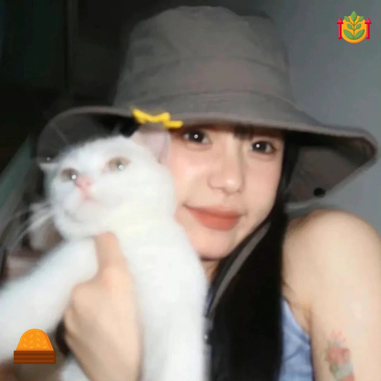小鹿
